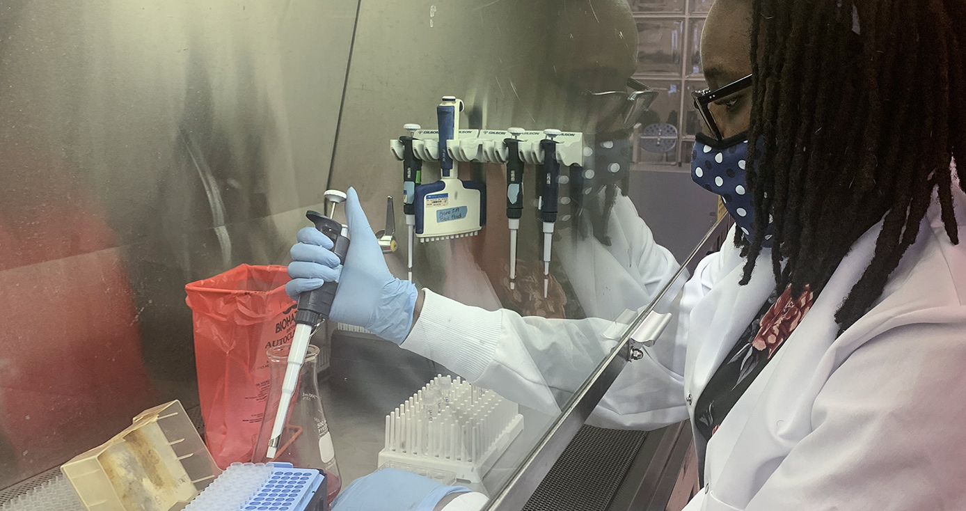 A person in a face mask, gloves and lab coat pipes material into a tray underneath a glass shield