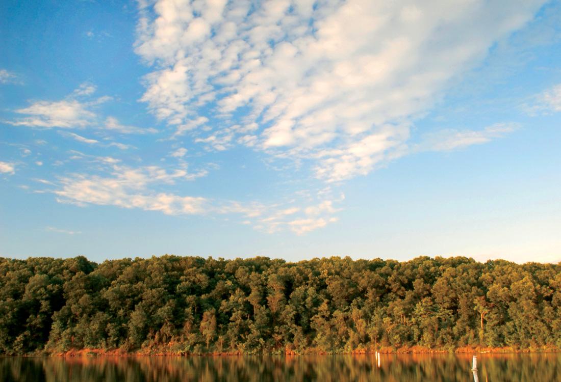 A lake and trees under blue skies with thin clouds.