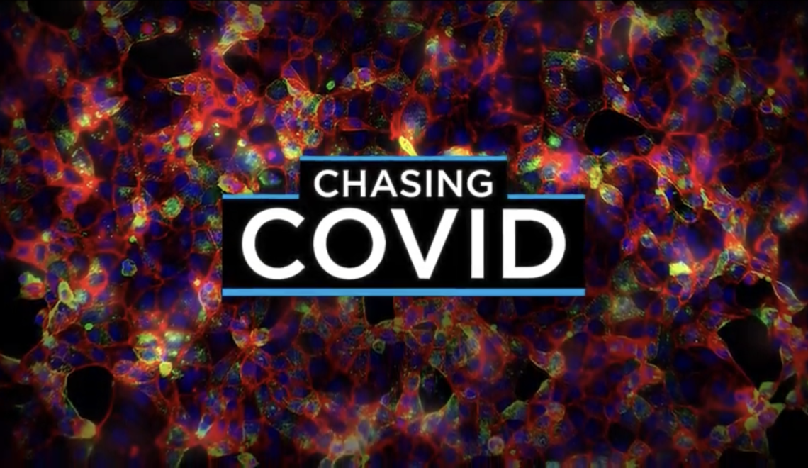 Chasing COVID thumbnail